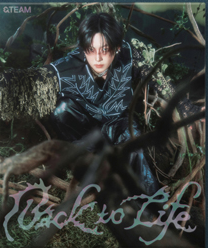 &TEAM - KR 1st Mini Album 'Back to Life' (ROAR ver.)