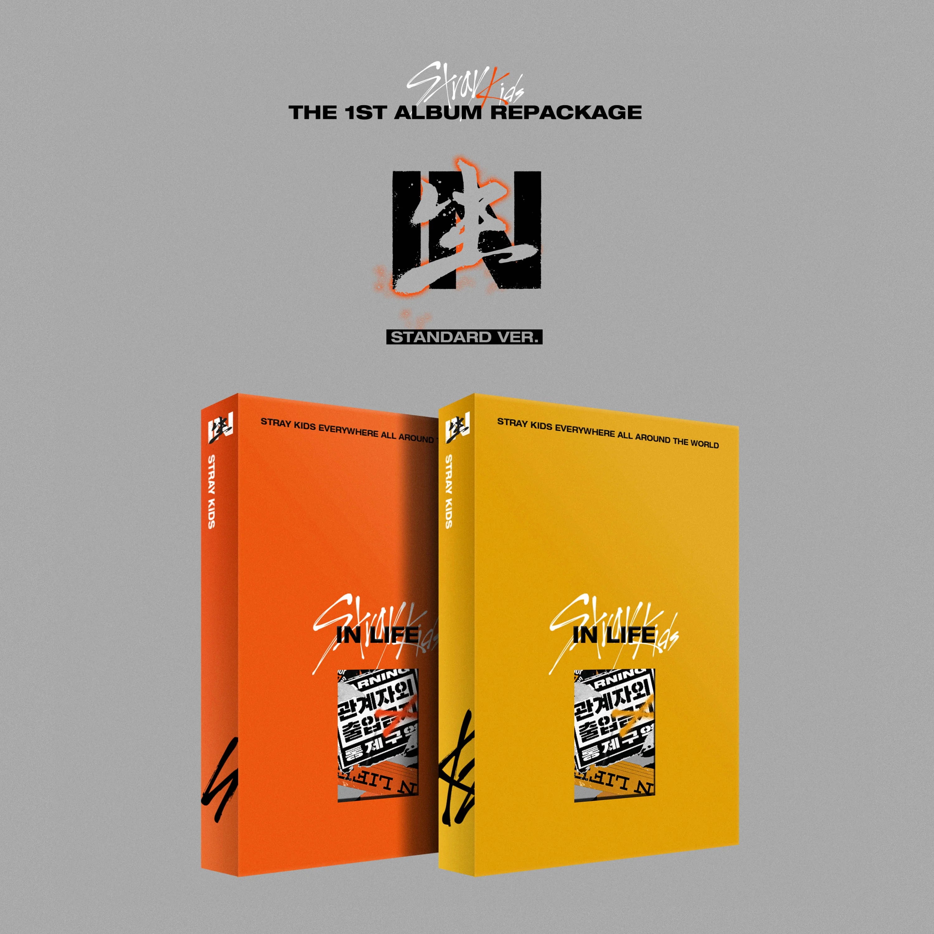 Stray Kids - 1st Album Repackage 'IN LIFE'