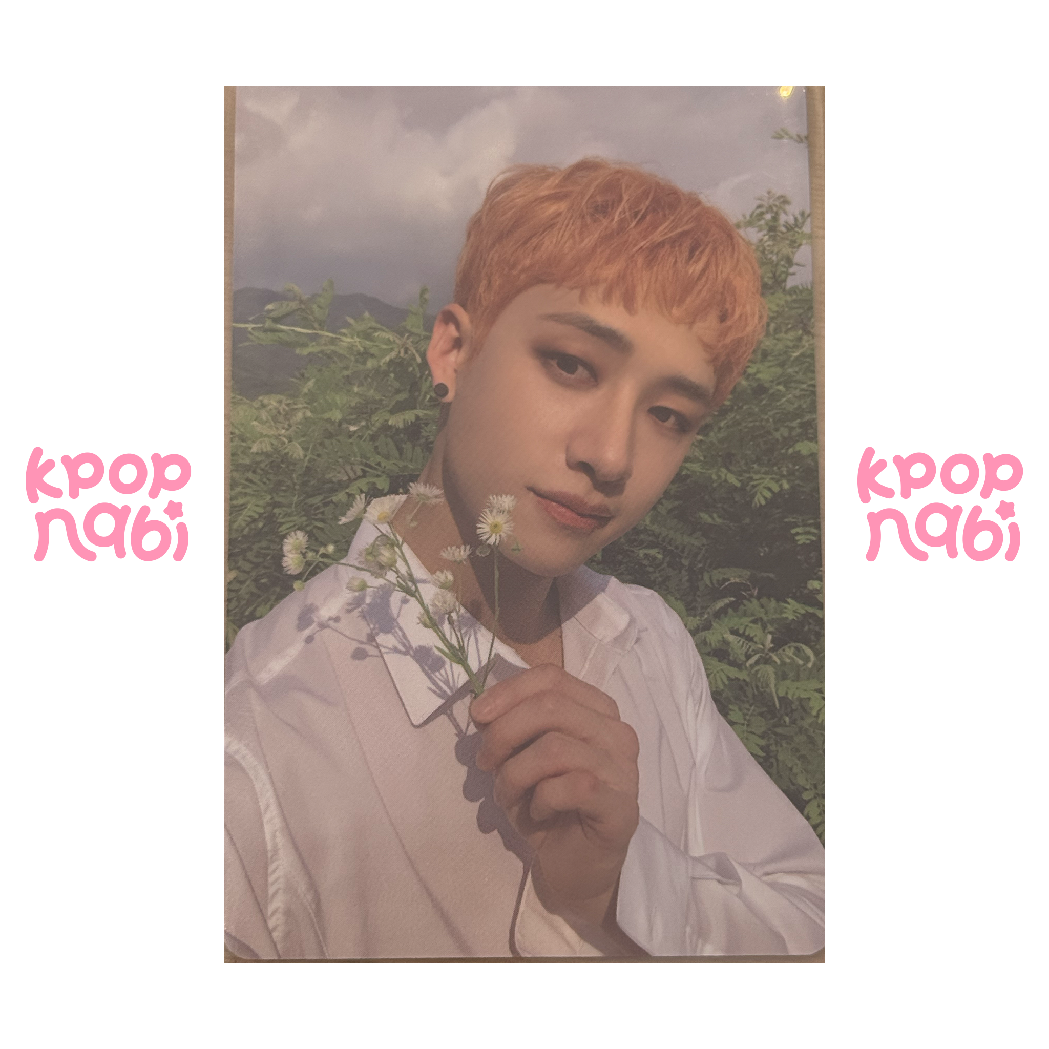 [PC] Stray Kids - Bang Chan 'NOEASY' (Limited) POB