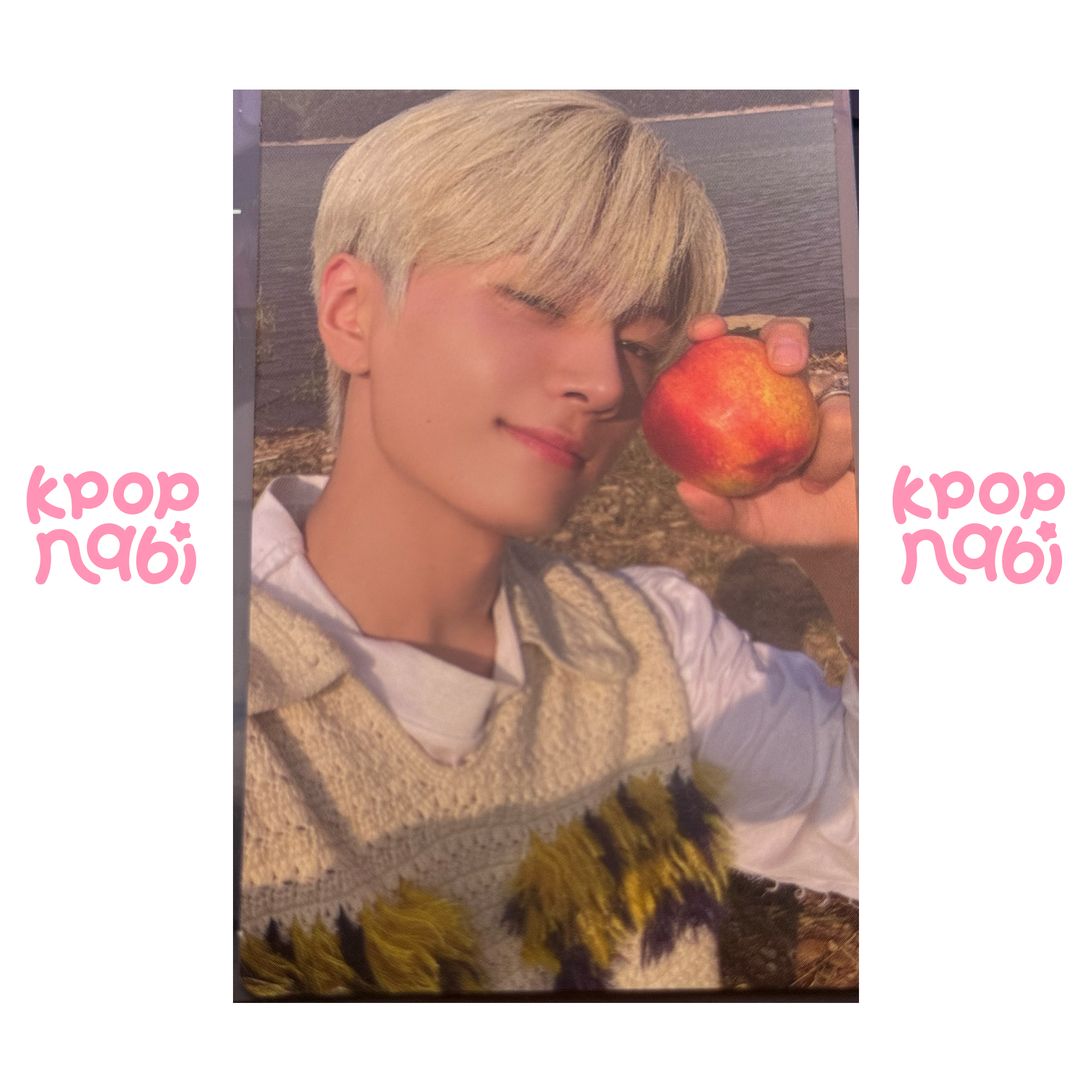 [PC] ENHYPEN - Jay 'ORANGE BLOOD' (Engene Ver.)