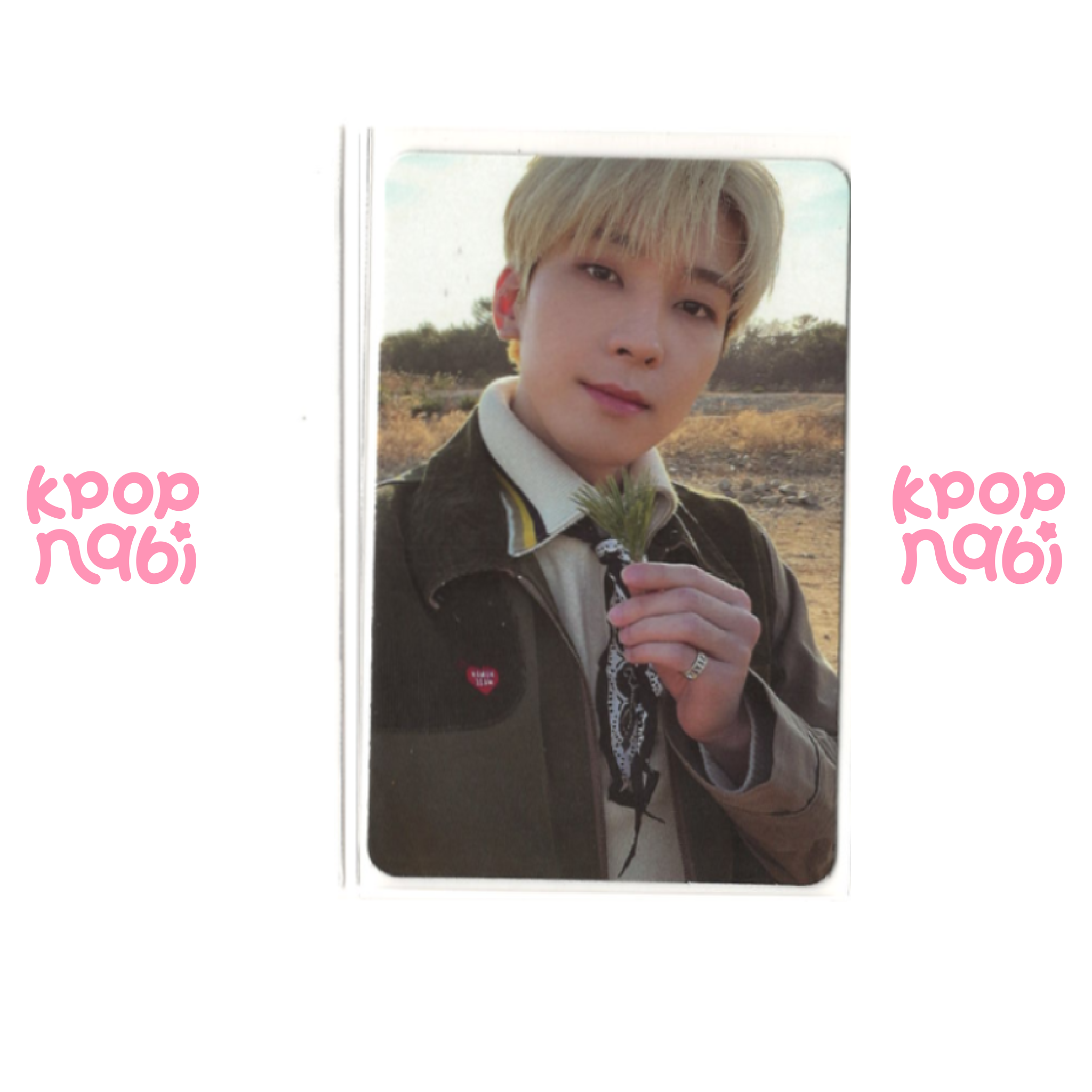 [PC] SEVENTEEN - 'Face The Sun' (PATH VER.)