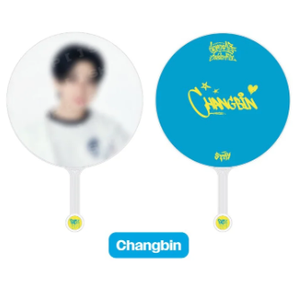 Stray Kids - IMAGE PICKET / dominATE : celebrATE MD / Official Merchandise