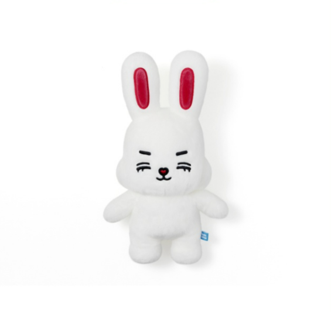 SEVENTEEN - MINITEEN HOUSE PARTY / Plush Toy / Official Merchandise