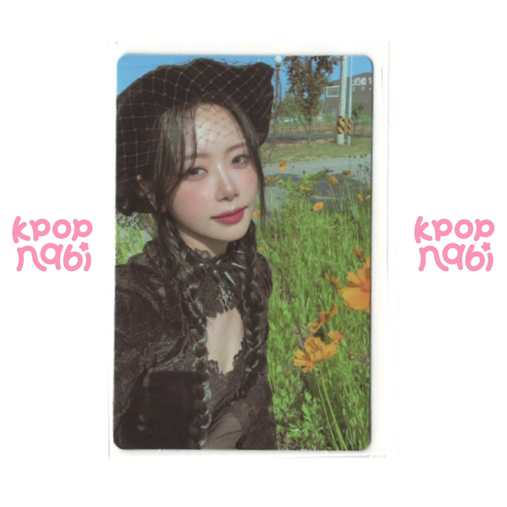 [PC] Dreamcatcher - Jiu 'VirtuouS' (Standard ver.)