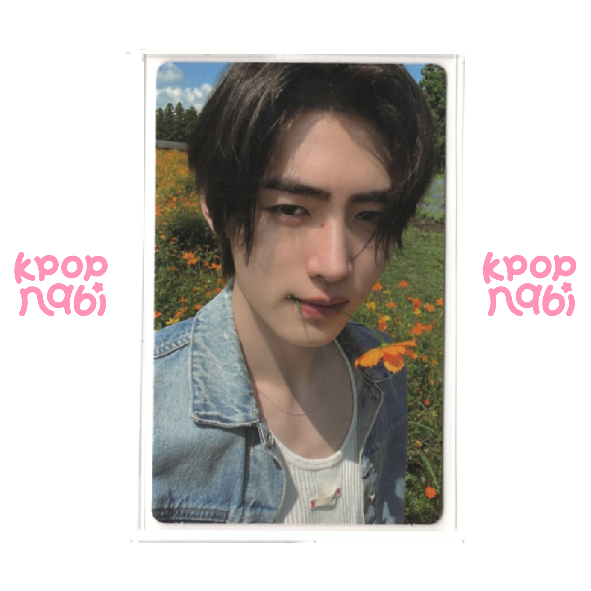 [PC] ENHYPEN - 'ORANGE BLOOD' (WEVERSE ver.)