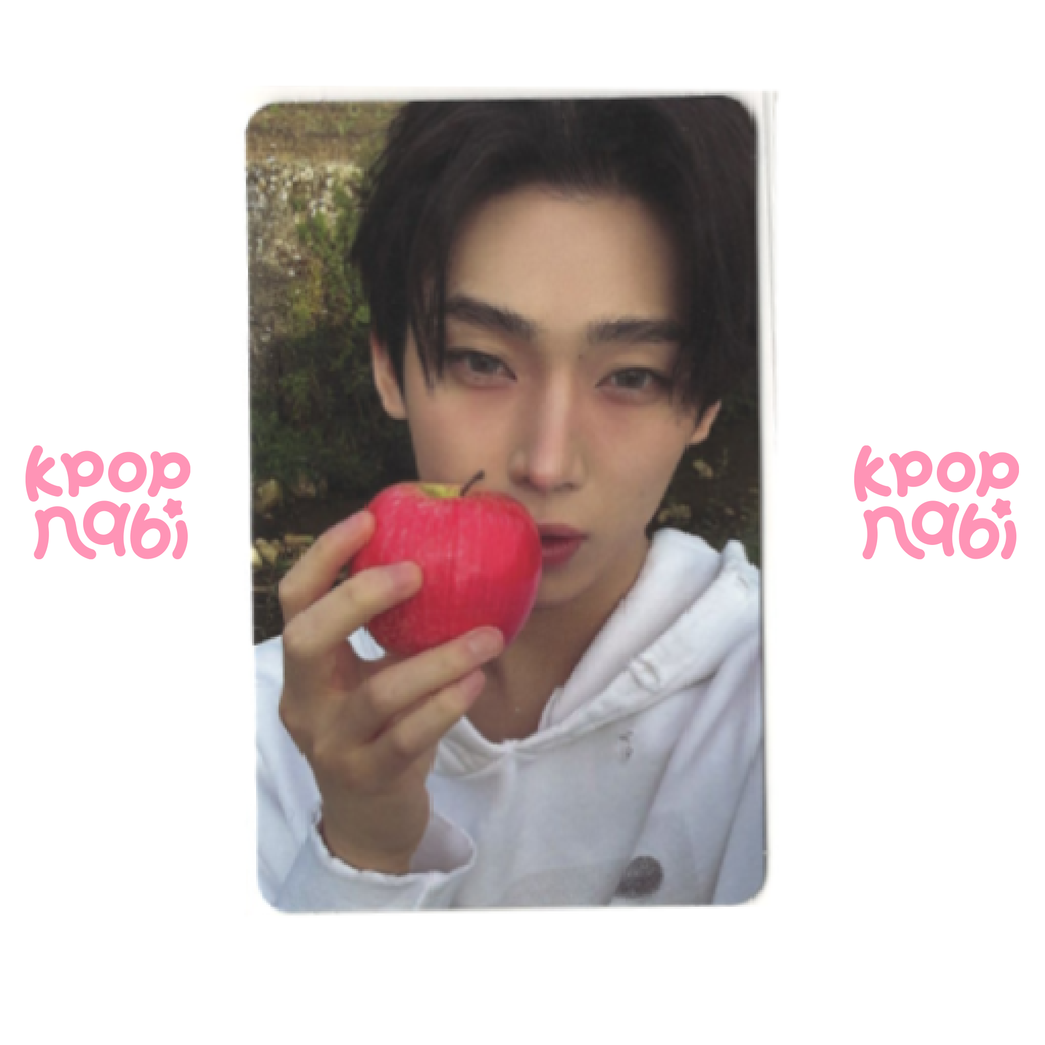 [PC] ENHYPEN - 'THE SIN : VANISH' FUGITIVE ver.
