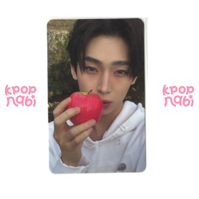 [PC] ENHYPEN - 'THE SIN : VANISH' FUGITIVE ver.