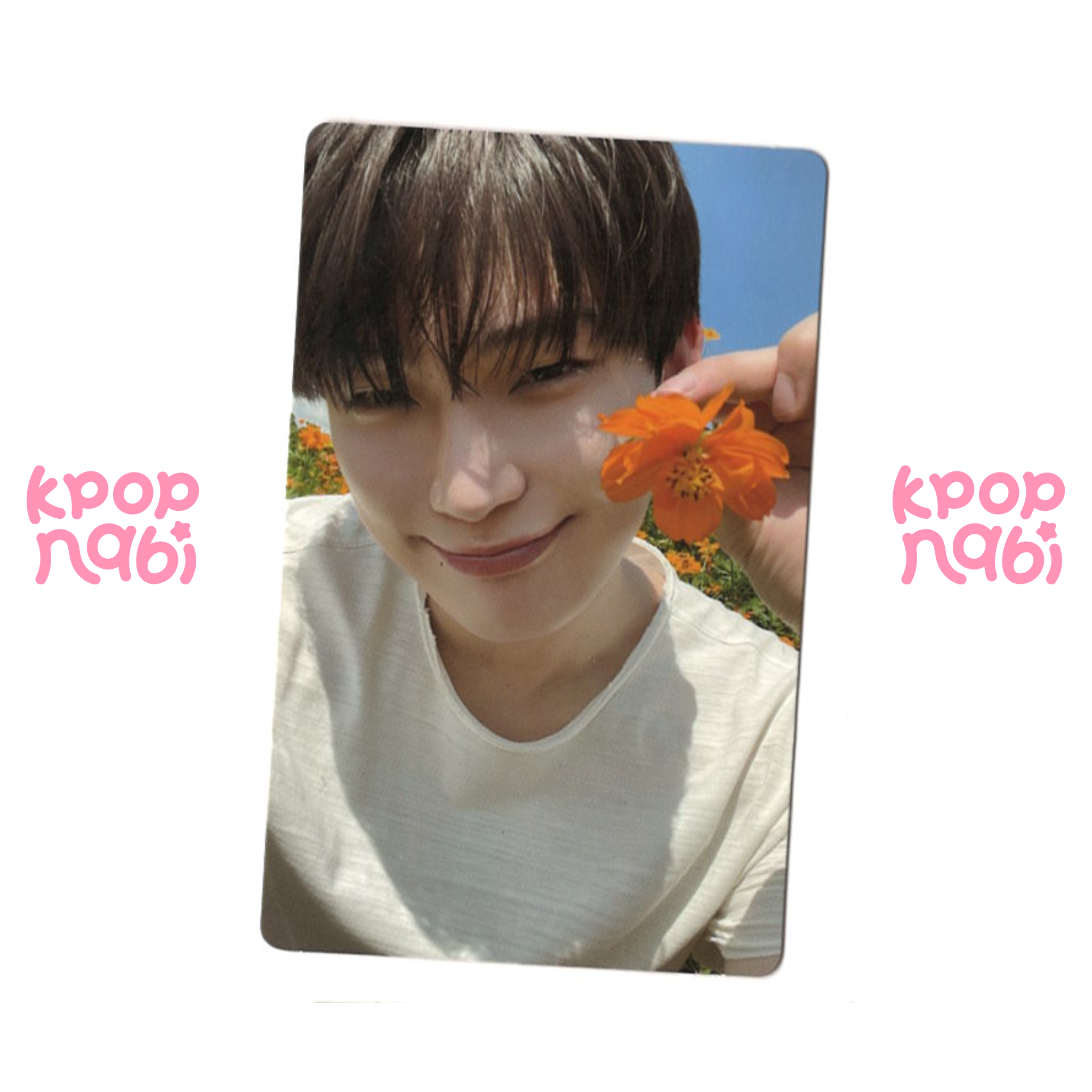 [PC] ENHYPEN - Sunoo 'ORANGE BLOOD' (Weverse ver.)