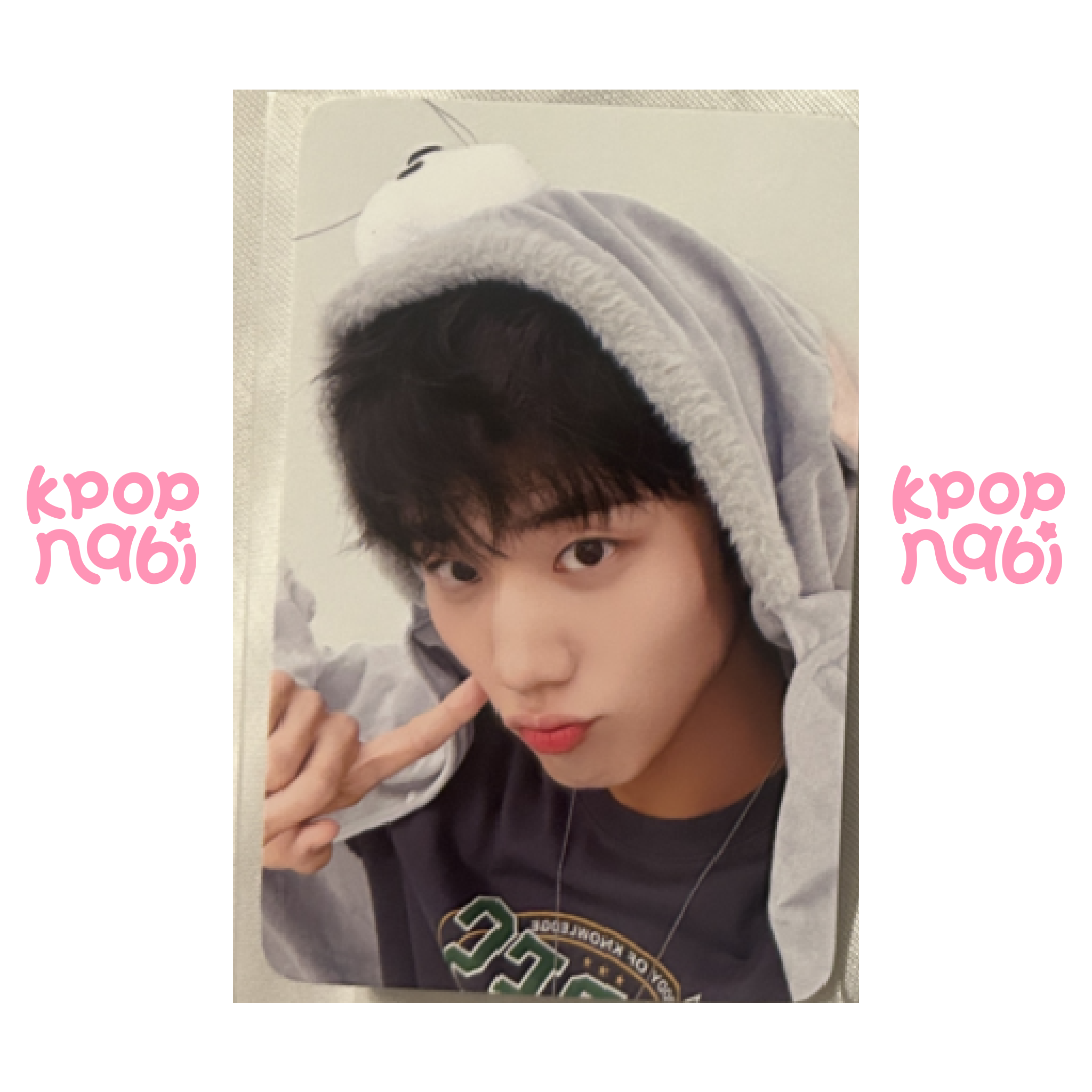 [PC] P1Harmony - 'DUH!' MUVVE VIDEO CALL