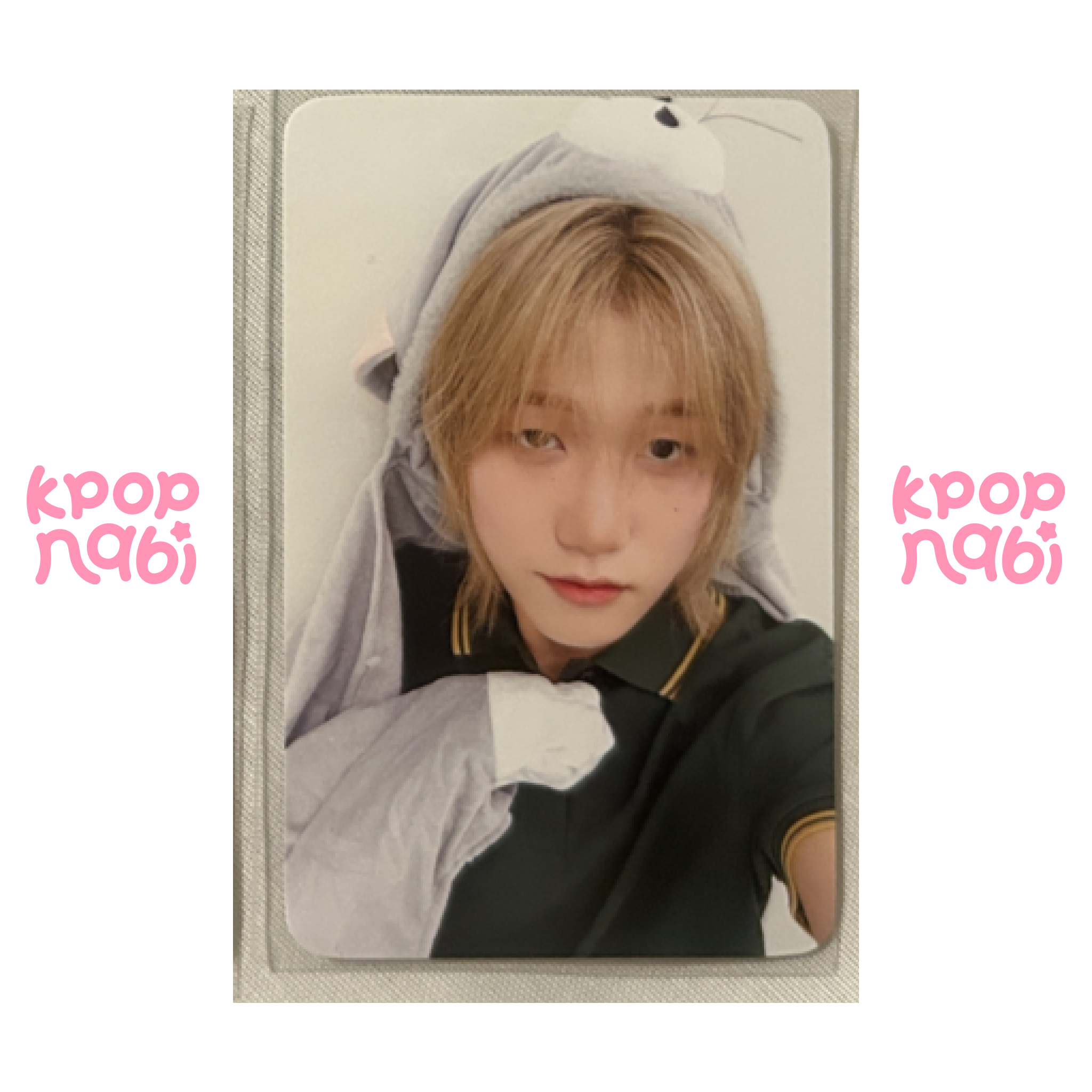 [PC] P1Harmony - 'DUH!' MUVVE VIDEO CALL