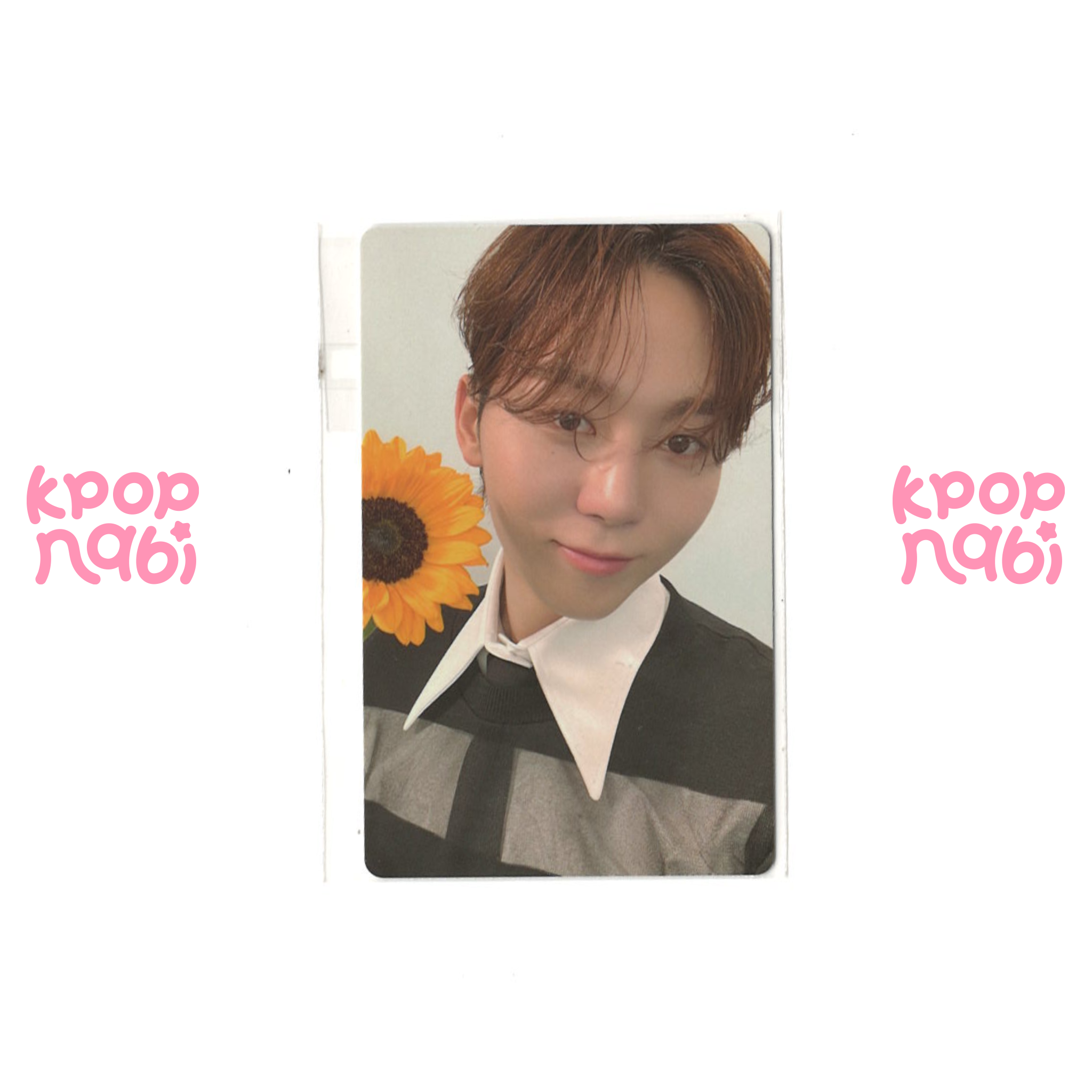 [PC] SEVENTEEN - Seungkwan '17 IS RIGHT HERE' WEVERSE SHOP POB