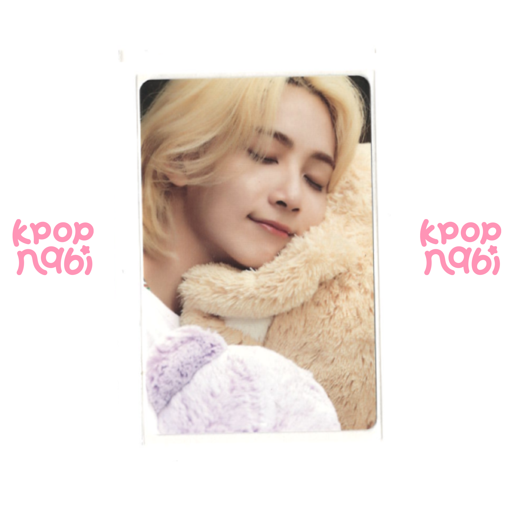 [PC] SEVENTEEN - Jeonghan 'Dicon Photocard 101: Custom Book'