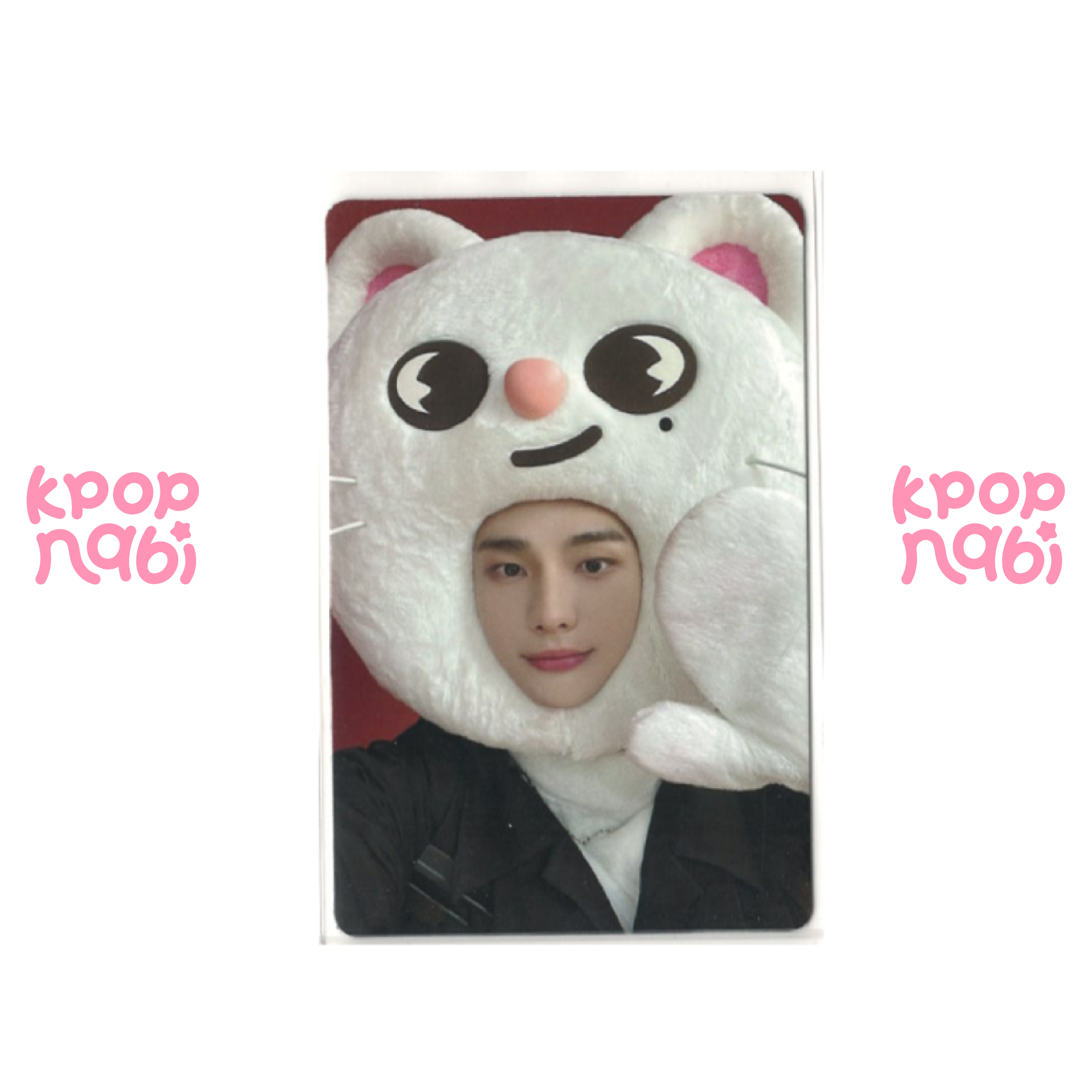 [PC] Stray Kids - 'MAXIDENT' JYP SHOP POB