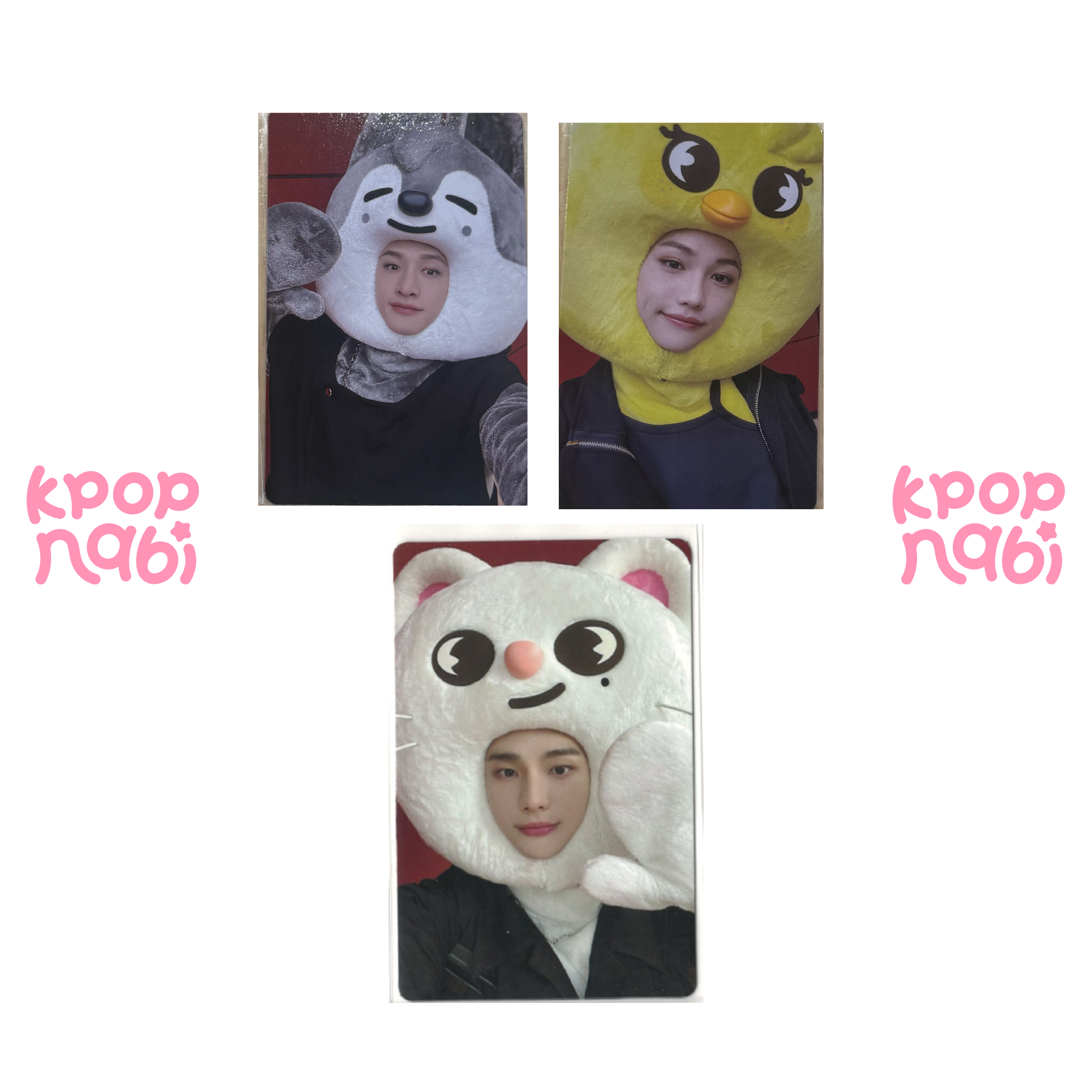 [PC] Stray Kids - 'MAXIDENT' JYP SHOP POB