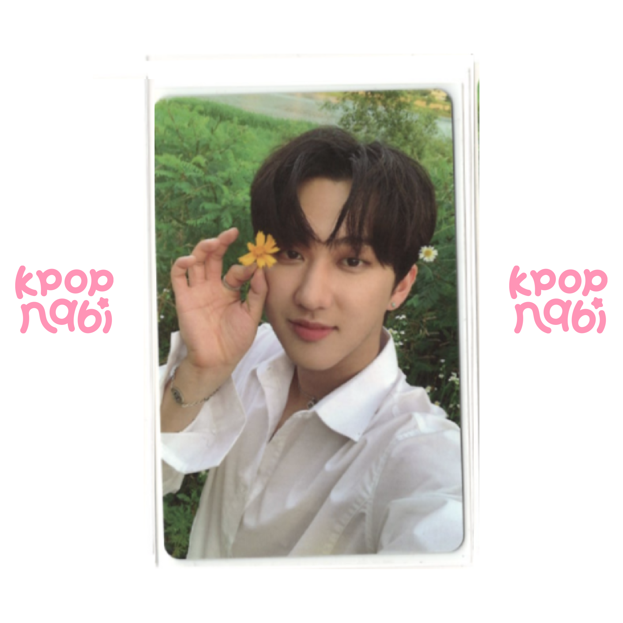 [PC] Stray Kids - 'NOEASY' (LIMITED ver.)