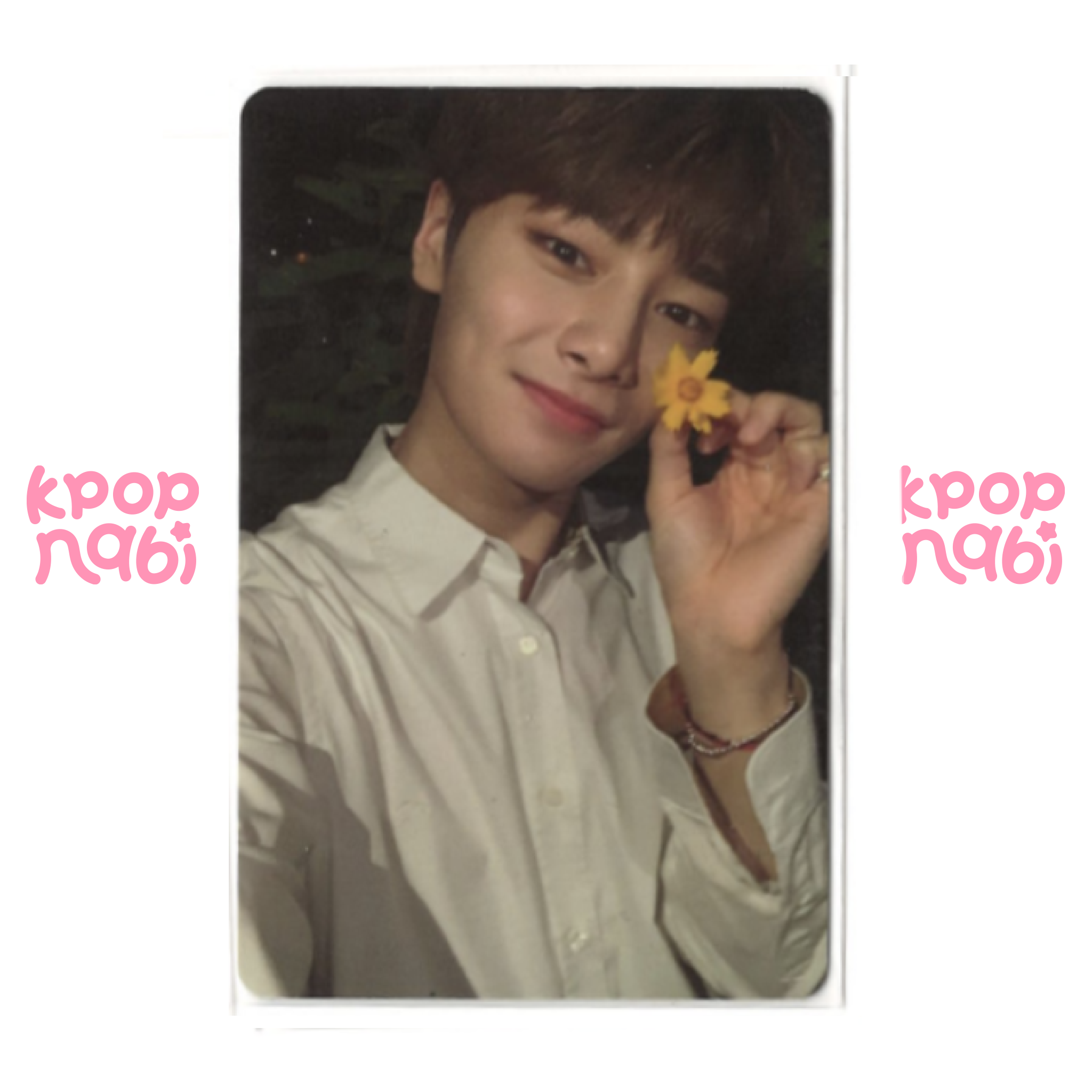 [PC] Stray Kids - 'NOEASY' (LIMITED ver.)