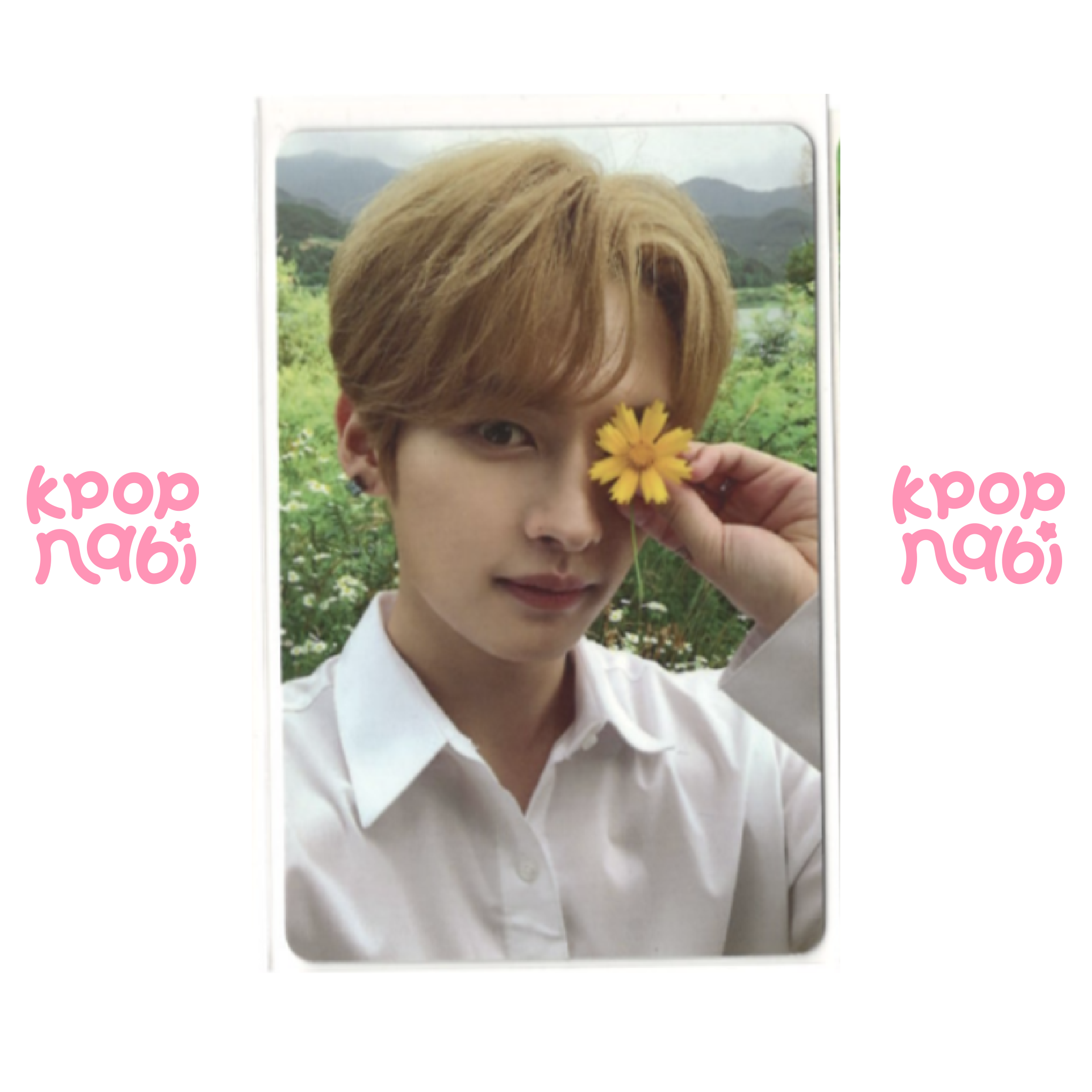 [PC] Stray Kids - 'NOEASY' (LIMITED ver.)