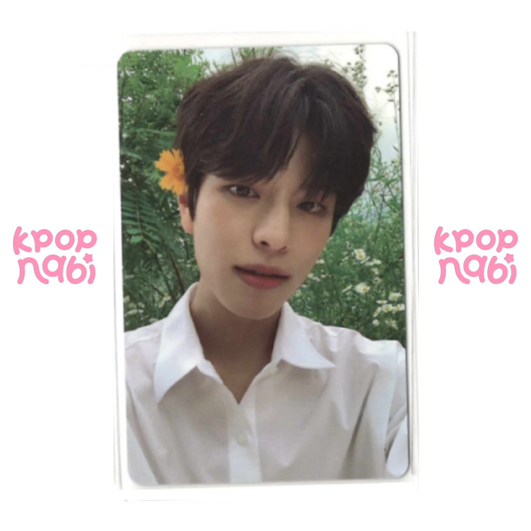 [PC] Stray Kids - 'NOEASY' (LIMITED ver.)