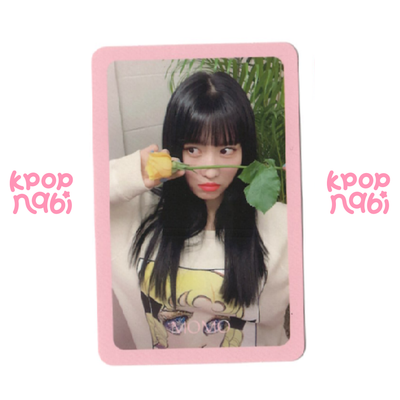 [PC] TWICE - Momo 'FANCY YOU' (Standard ver.)