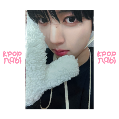 [PC] ZEROBASEONE - Yujin 'MELTING POINT' MAKESTAR FANSIGN EVENT POLAR BEAR (DIGIPACK ver.)