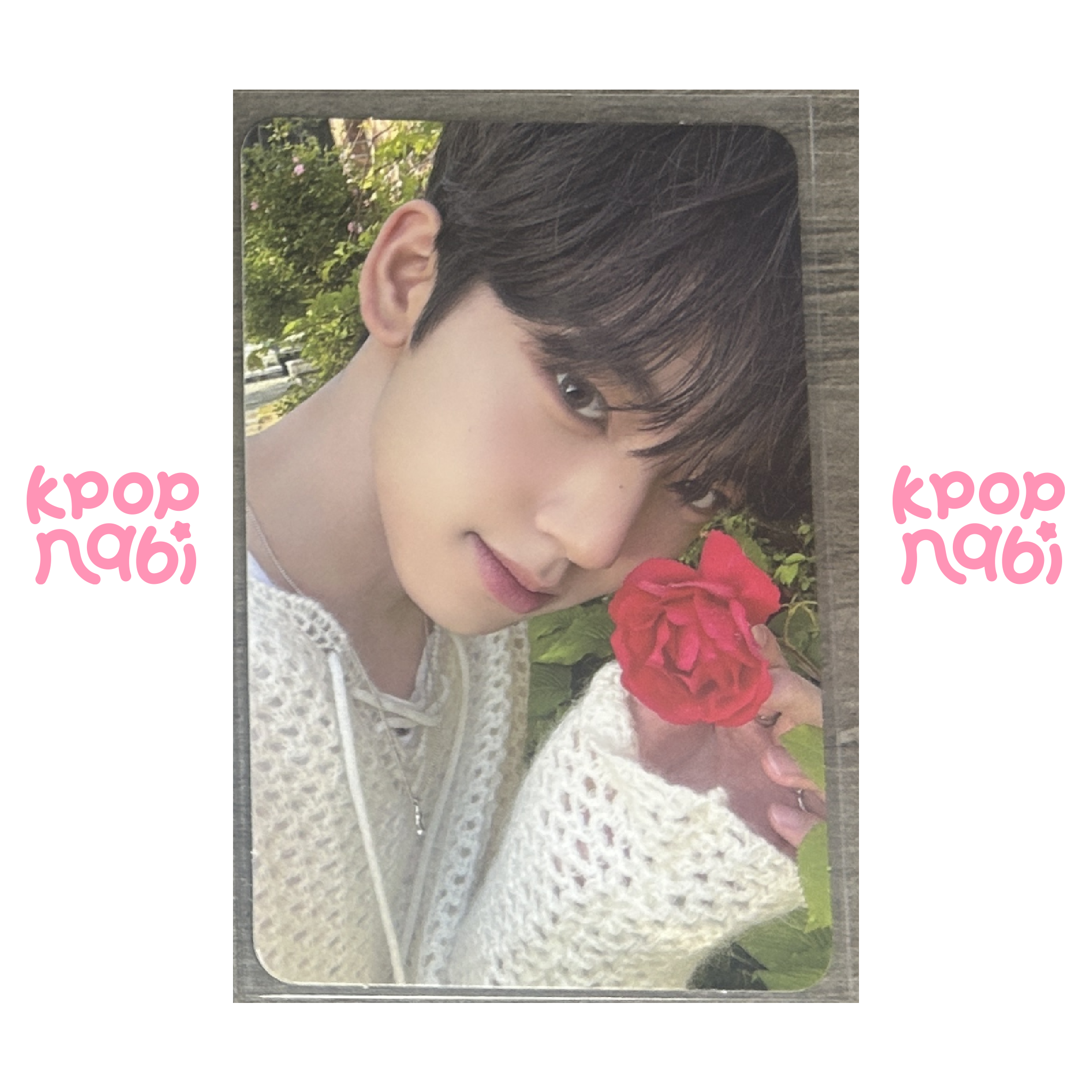 [PC] ZEROBASEONE - Yujin 'YOUTH IN THE SHADE' (Shade ver.) #1 (DMG)